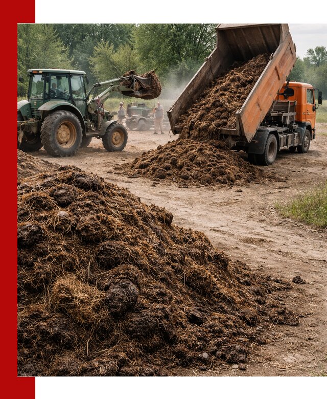 Доставка навоза самосвалами в Кургане для сельхозпотребностей